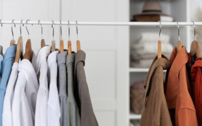 Closet Organization Systems on a Budget