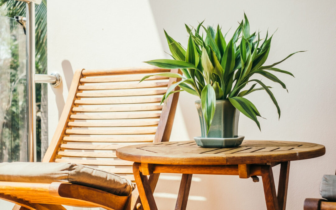 The Truth About “Eco-Friendly” Furniture Materials